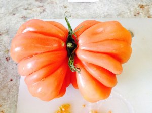 11754463_10152963280801332_1847628313940079886_o