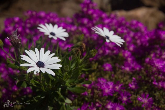 unspecified-5 17.53.34.jpeg