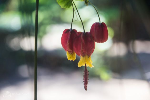 unspecified-6 17.53.31.jpeg