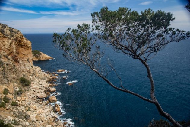 unspecified-9 17.53.31.jpeg